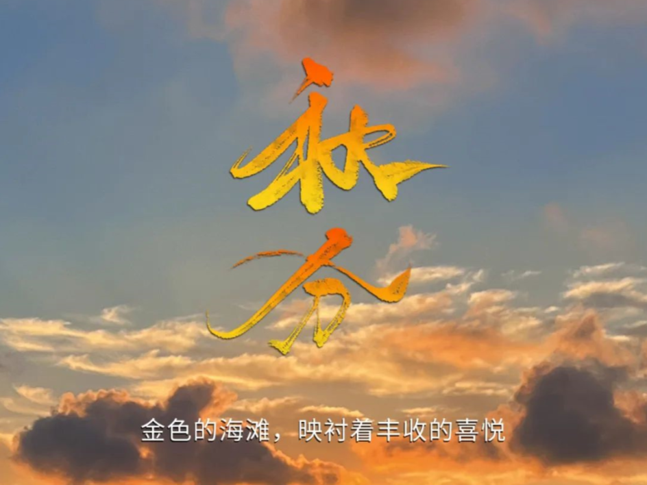 秋分 | 金色的海灘，映襯著豐收的喜悅