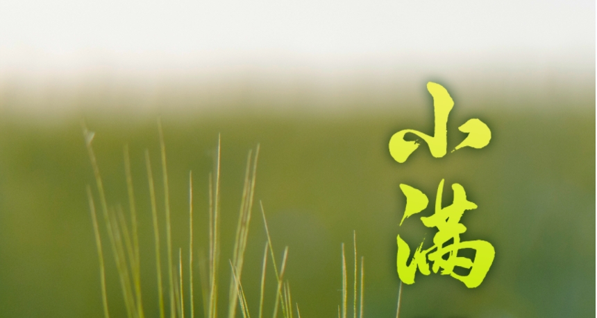 今日小滿 | 萬(wàn)物豐茂，綠色滿『榮』  碩果待結(jié)，智慧盈『科』